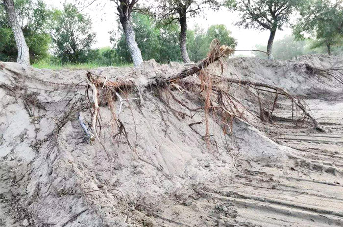 大型石料粉碎機粉成沙子的價格是多少，哪家好？